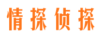 定海市私人侦探